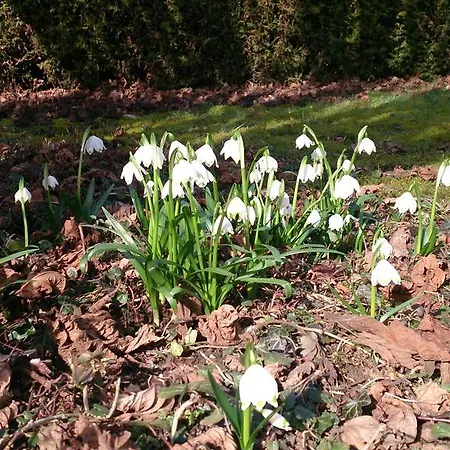 Der Platengarten Hotell 3*
