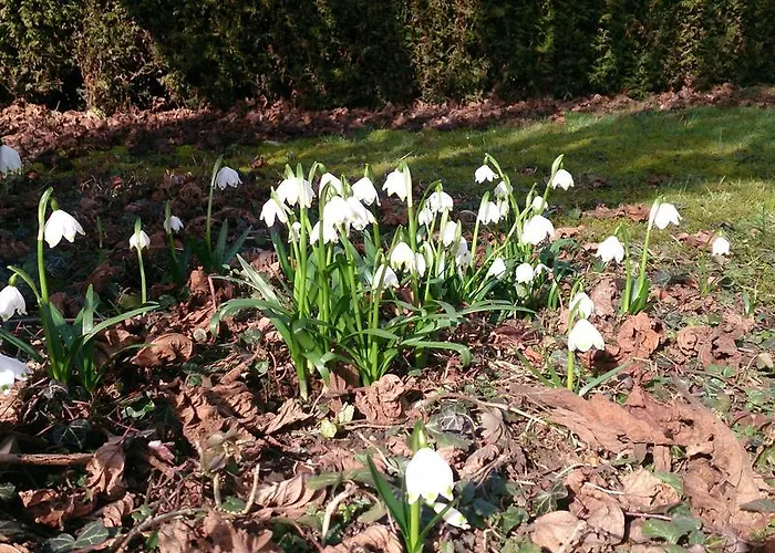 Der Platengarten Hotel 3*